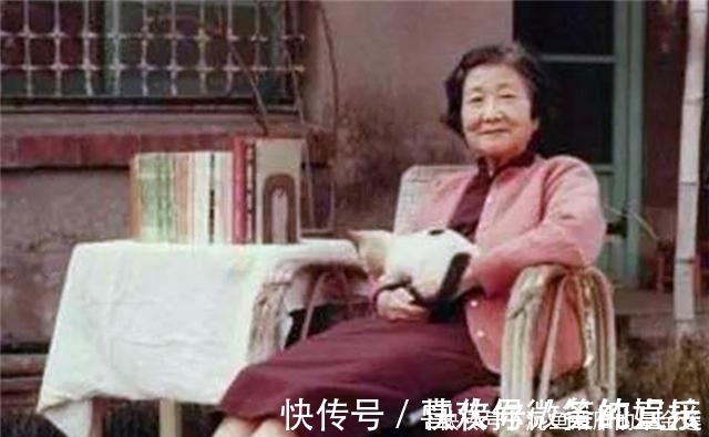 鲁迅&她用半生时间骂鲁迅,却不愿为丈夫做一碗粥,最终在孤独中逝去