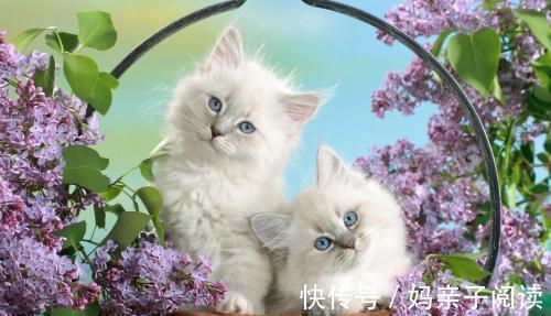 |幽默笑话:为了还女儿借的五百万,平时不上班的时候就去工地搬砖