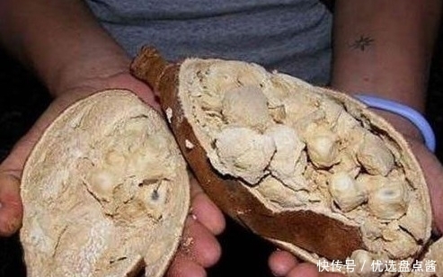 没吃过|这5种罕见水果,很多人都没吃过一种,你都吃过吗?