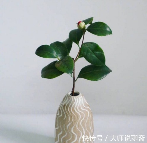 一段话|受益终生的一段话,见解独到,引人深思!