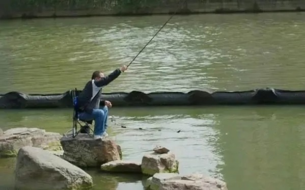 诱鱼|30年经验老钓鱼人分享:这样诱鱼简直绝了,不到3分钟大鲫鱼连竿上!
