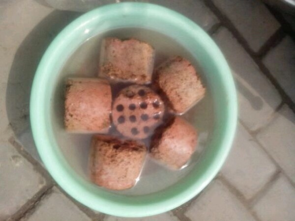 爷爷养花,出门捡点它,热水煮一煮“垫盆底”,花卉长得根粗叶绿