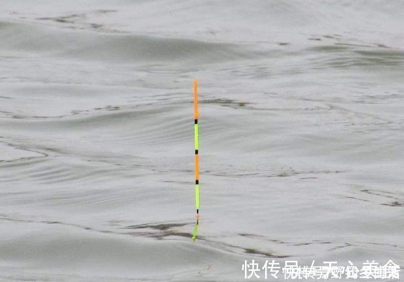 线组|钓鱼千万不要跟新手抬杠,因为根本抬不住