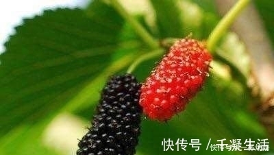 美容|女性可以多吃三种食物，美容养生、延缓衰老，身体棒棒哒！