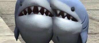 我买的这些平价化妆刷，随便一把都是千元质感!