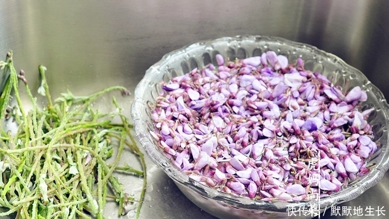 你认错了,它不是槐花不是梧桐花,4月最嫩,煎成饼,能吃一盘子