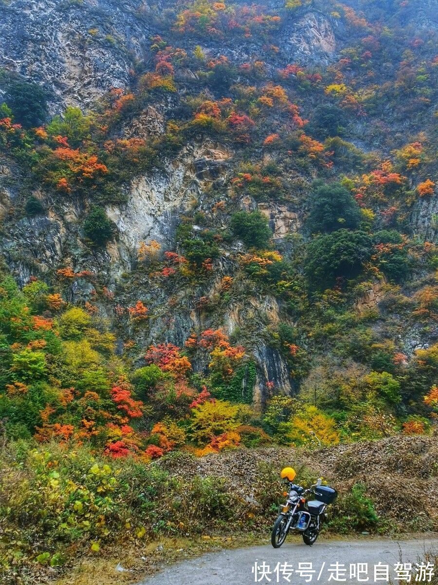 中秋|穿越千年，当秋日美景遇上古诗词，许你一个诗意的山河