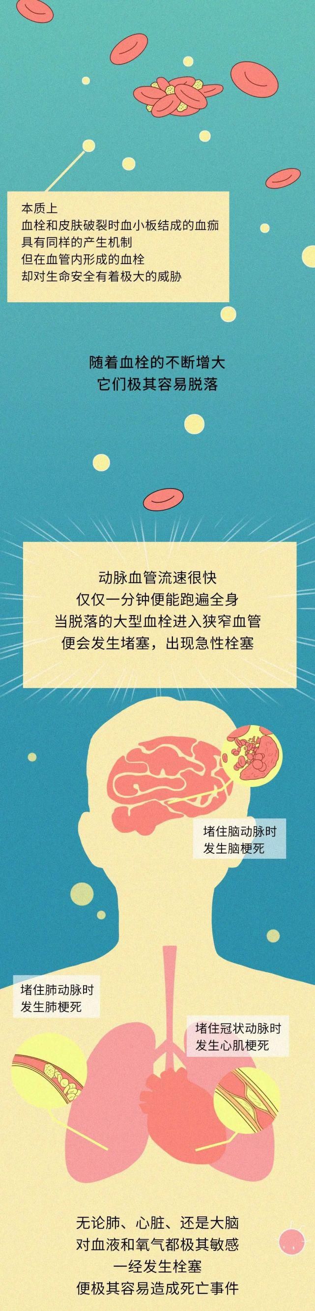 这就是脂肪危害健康的证据