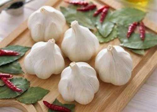 食物|防癌抗癌食物萬能王，蒜防止動(dòng)脈硬化、醬油增進(jìn)鐵質(zhì)