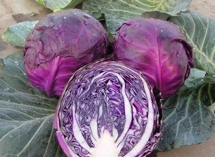 有益健康|想长寿要先会吃,3种食物必不可少,排毒养颜,有益健康!