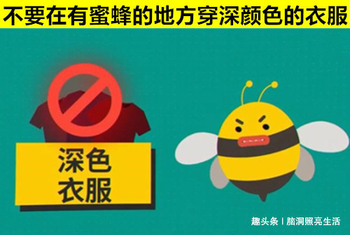 可以在万分危急的情况下拯救你生命的10个生存技巧
