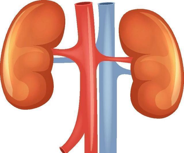 养肝|他喝酒50年，自称不怕痛风，秘诀只有1个，尿酸保持得好