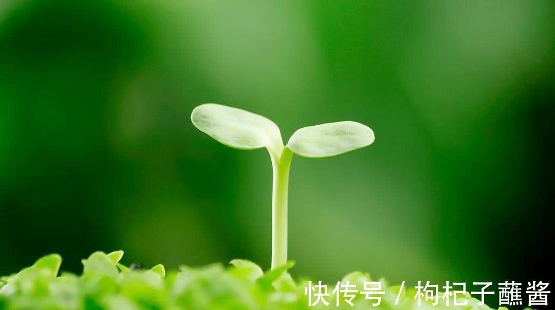 三种人!做人要厚道,但是对待三种人要刻薄,不能心软