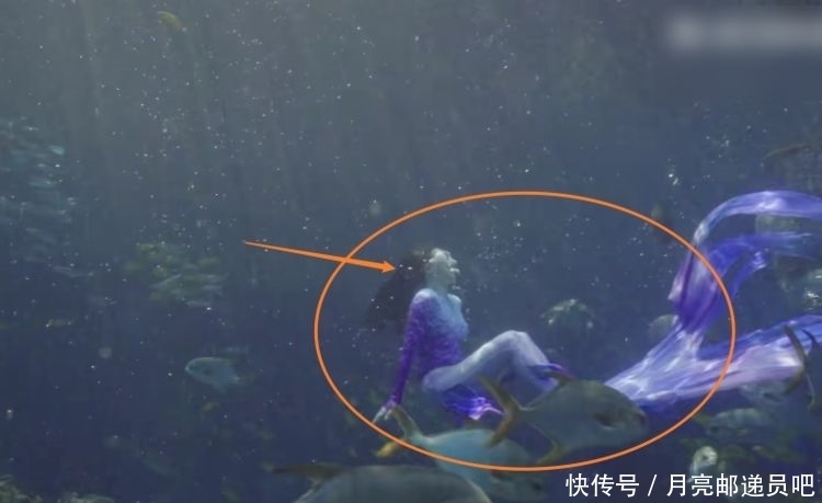 《好看2》预告,陈小纭再秀射箭实力,张柏芝化身“美人鱼”潜水