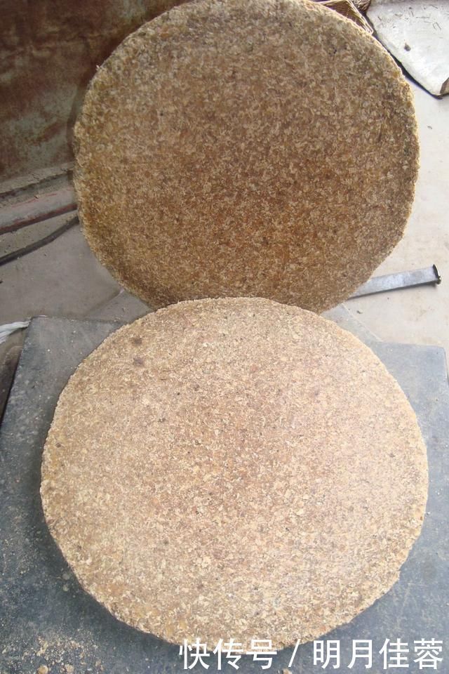 花盆|养花有必要加“底肥”吗老花匠教你这样做,植物根系又粗又壮