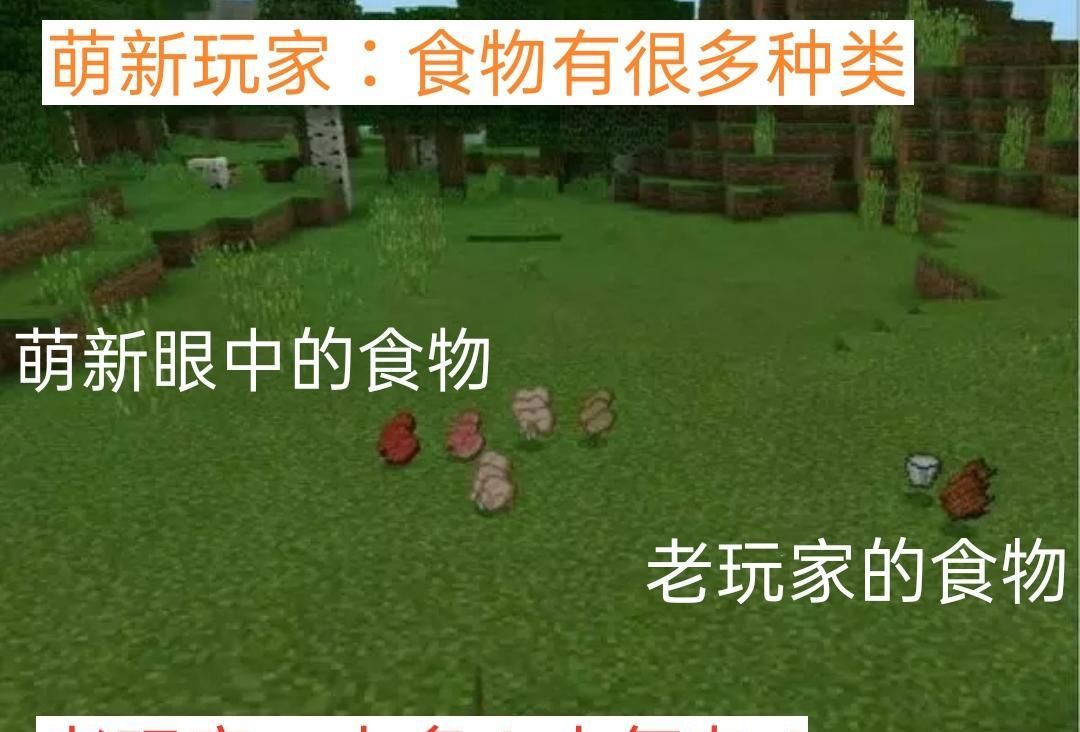 苦力怕|我的世界：如何辨别MC里的真萌新？老玩家看到最后竟无言以对