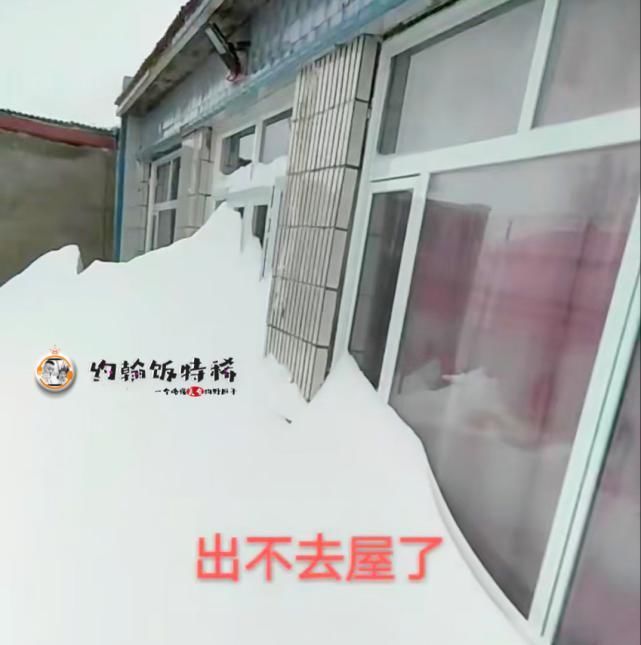 满地|东北就是个“天然大冰柜”,满地都是饺子,南方人表示:简直太豪
