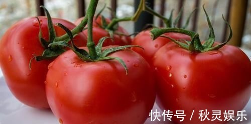 才知道,打了激素的西红柿有这3个特点,以后别再乱买了