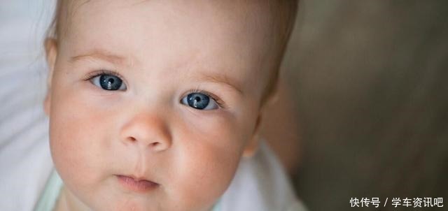 被骗|儿子的智商完全遗传自母亲还要被骗多久,这个锅妈妈不背!