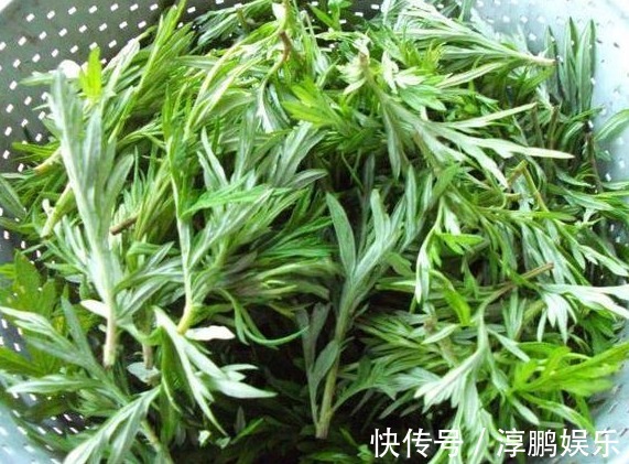 身体|她天天吃幼嫩艾草叶,半个月后身体发生神奇变化,值得所有人借鉴