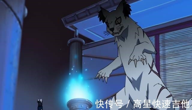 火影忍者|火影忍者里的奇葩结印方式,忍猫才是真的秀