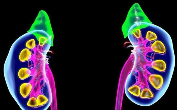 医生告诉你,“肾虚”患者听后会终生受益,调整后让你精力充沛!