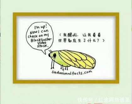 蚊子|你不知道的冷知识：第一个细思极恐，第五个一般人做不到！
