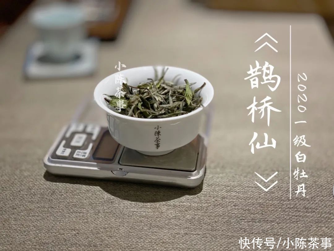  白牡丹|花香满颊，汤水劲滑，时隔7个月，2020白牡丹有了哪些变化？