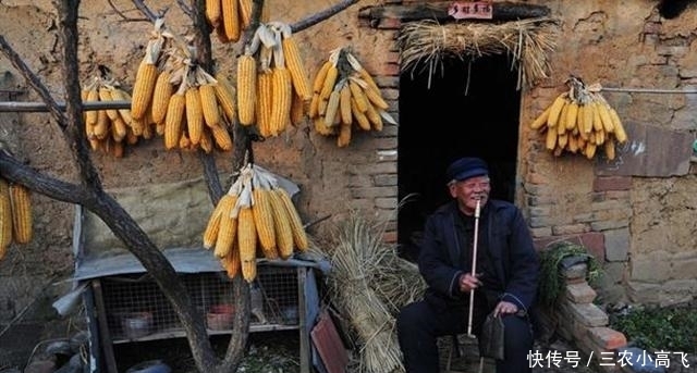 机会|农村你家里有这5个老物件吗? 别错过当富一代的机会哦