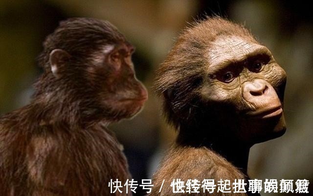 毕加索&毕加索为什么会认为真正的艺术在中国?西方的古文明是否存在造假