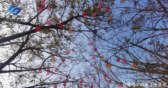 茂名小东江超级月亮下水,沿江路开始变身星光大道!