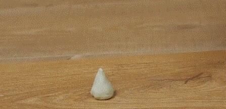 纯天然|开椰子谁还用锤啊,只要1块口香糖,2分钟快速开椰子