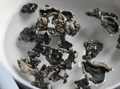 食物相克|一家人吃木耳炒蒜后食物中毒,出问题的是蒜还是木耳告诉你答案