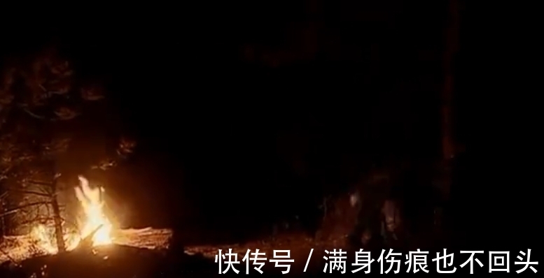 窩棚|跳傘進(jìn)入洛基山脈腹地,第一頓晚餐竟然是響尾蛇,還吃得津津有味