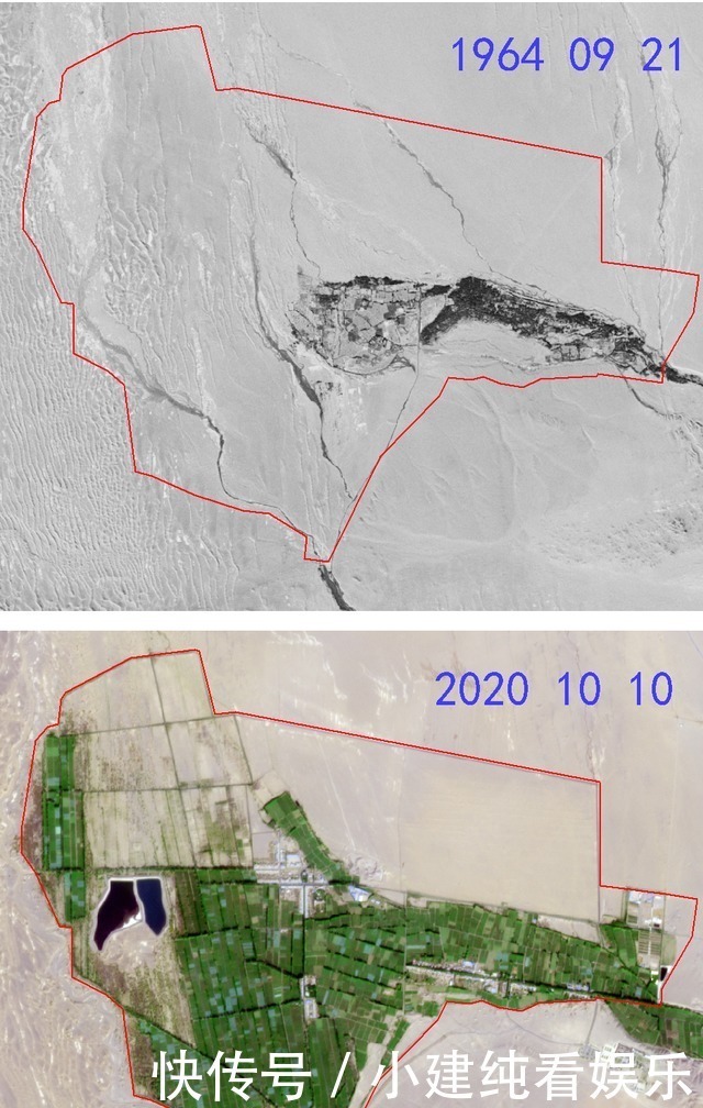 互联网时代 卫星视角，看敦煌阳关林场，55年间的前世今生
