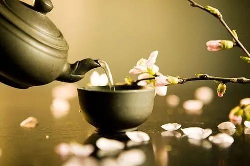 喝茶你喝对了吗？这样喝茶事半功倍！