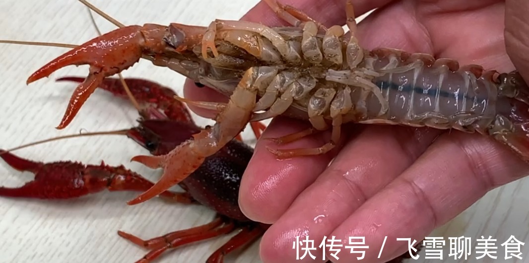 垃圾|小龙虾别直接用清水洗，相当于吃垃圾，教你小技巧，垃圾自动跑光