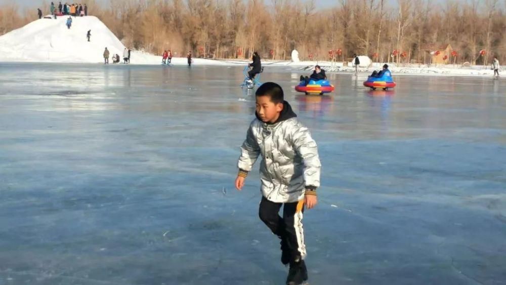 邂逅|这个冬天来金塔沙漠胡杨林，邂逅一场不一样的冰雪奇缘~