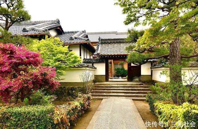 院子|富人喜欢在院子里种4种树,寓意都很好,早看早知道哦