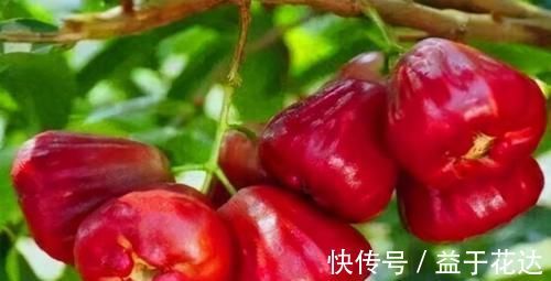 王医师|夏季养生,常吃几种食物,养护肝脏,提高免疫力,早了解早受益