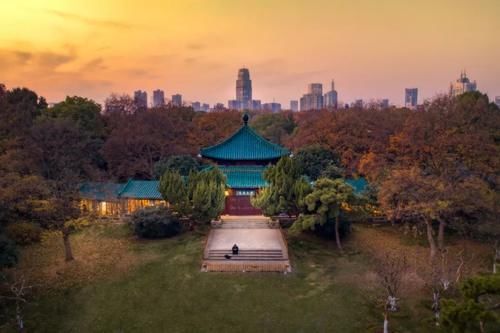 我为东湖绿心建言：听涛滨湖都市旅游区