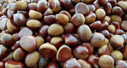 栗子|栗子和此物一起煮，腰不酸了，腿不软了，不想每天疲惫可以试试