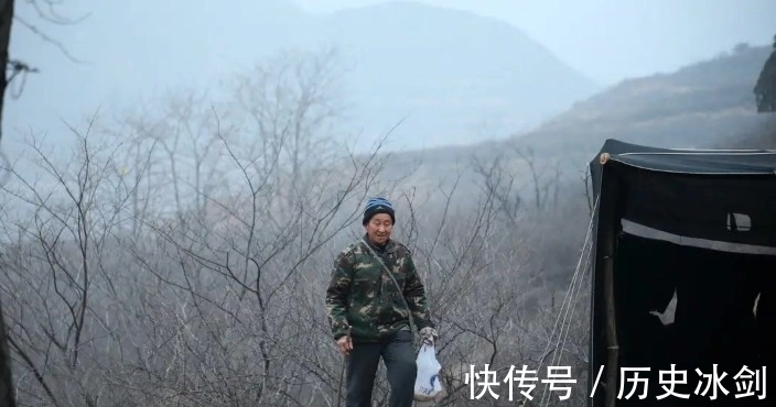 柳林沟|晋南山沟沟里引来“火凤凰”，你知道吸引它们的梧桐树在哪里吗？