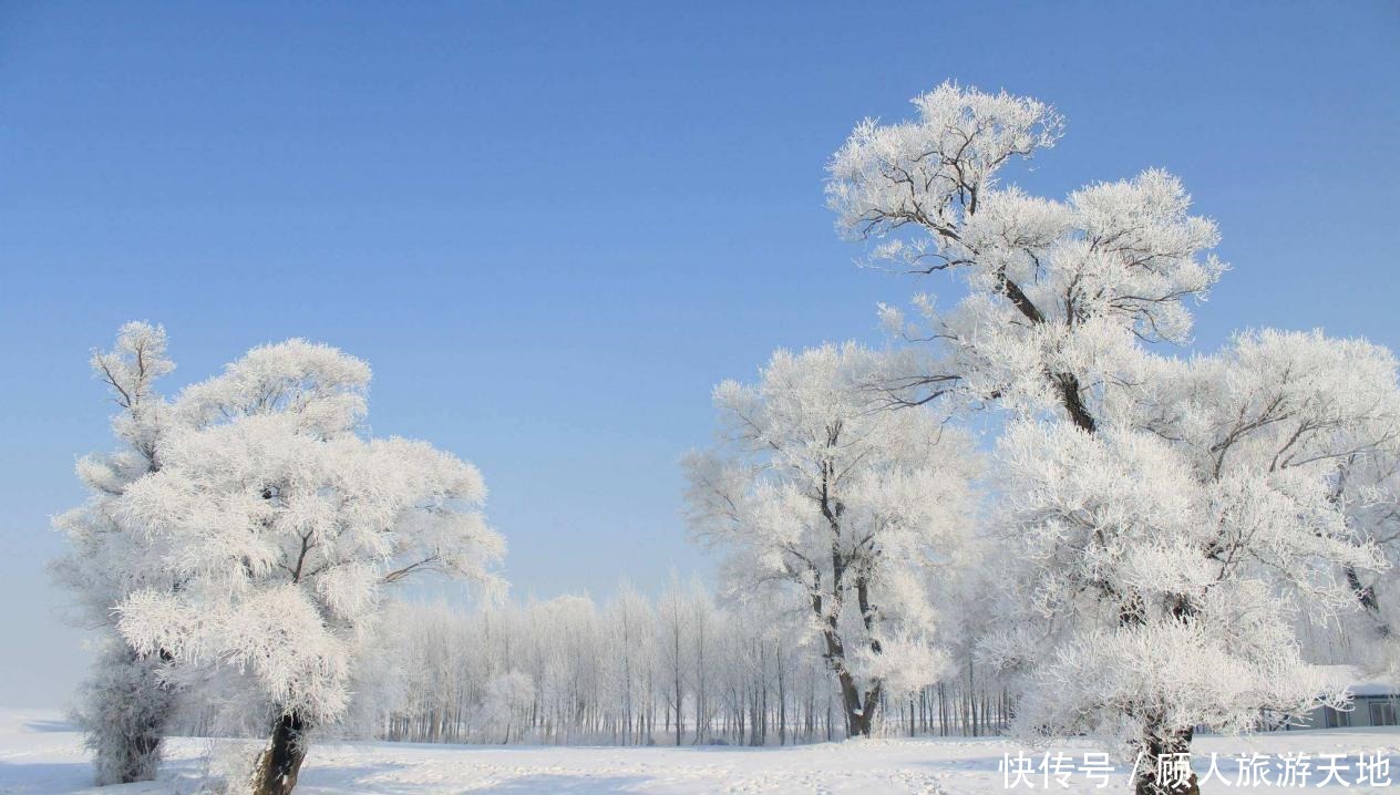 宛如|不用去雪乡，国内这3个地方雪景美哭无数游客，第三个宛如仙境