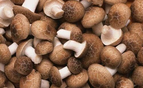 衰老|每天学会吃3种食物，补充营养、延缓衰老，好吃又健康！