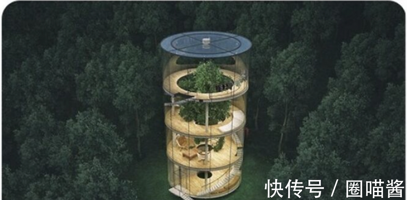 迈克尔杰克逊@“活久未见”的28张照片,相当涨姿势