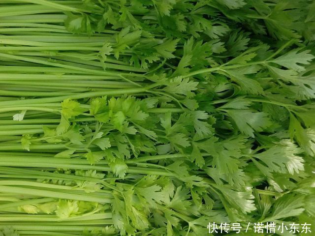 藏在身边的天然“二甲双胍”,每天早晚多吃,或使你血糖不升反降