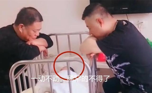 独苗|面对刚出生的“独苗”,姥爷和爷爷凝视半小时,网友:非静止画面
