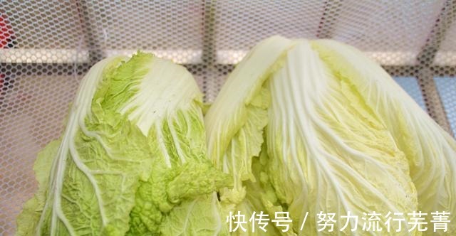 才知道，遇到这种白菜别买了，不怪菜农，教你一秒辨别“甲醛”菜！
