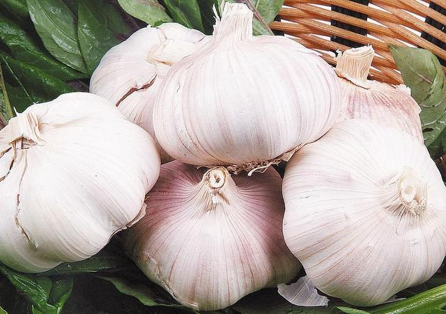 生活质量|德国人寿命比世界人均寿命高出近10岁，只因他们有这7个好习惯